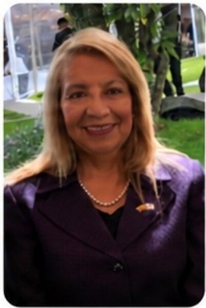 Mery Alarcón